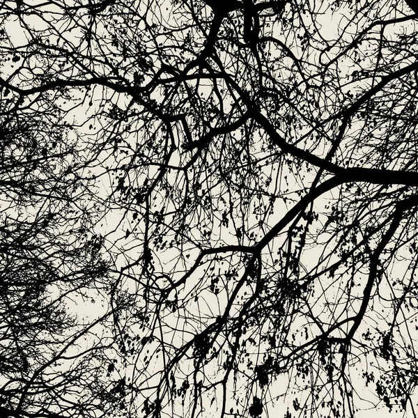 Векторный Силуэт Ветви Дерева Шаблоны Украшения — стоковый вектор