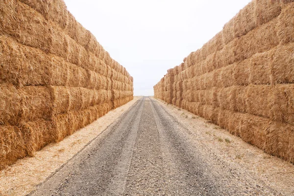 Büyük saman balya yüksek içine mesafe Washington Eyaleti Palouse bölgesinde lider çakıl yol yanındaki çiftliğin üzerinde yığılmış.