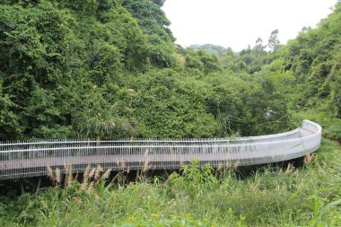 Yoğun yeşil bitki örtüsü ve arka planda uzun ağaçlarla çevrili kıvrımlı şekilli yüzen beyaz metal bir köprü. Toprak yabani otlarla kaplı, doğal güzellikte bir atmosfer yaratıyor..