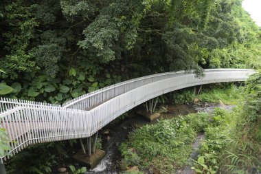 Yüksek kalite ve ince detaylarla kıvrımlı beyaz metal korkuluklar, Holmes tarzı, sık bitki örtüsüyle çevrili bir açık vadi alanı, ve her yerde yeşil bitkiler var.