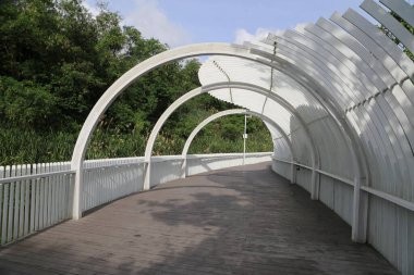 Üzerinde yeşil ağaçlar ve bitkilerle çevrili kemerli metal çatılı beyaz bir köprü. Ahşap zemin koyu ahşap tahtalarla kaplı..