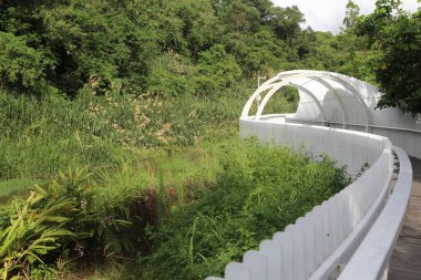 Beyaz, kıvrımlı bir köprü şeffaf polikarbonat plastik malzemeden yapılmış, yemyeşil bitki örtüsü ve sulak parktaki çalılarla çevrili..
