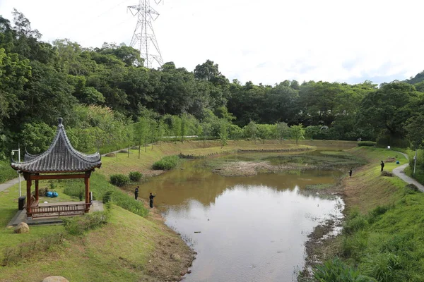 Parktaki küçük bir gölet yeşil çimlerle çevrilidir. Hemen yanında antik bir Çin pavyonu duruyor ve bazı insanlar onun kenarında balık tutuyor..