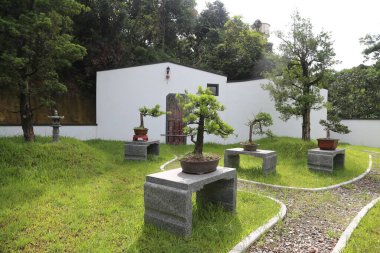 Beyaz bir evi ve birkaç saksı bitkisi olan küçük bir bahçe. Bitkiler sıraya dizilir ve taş kaidelerin üzerine yerleştirilir.