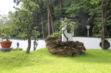 Yeşil ağaçlarla çevrili, Çin tarzı bahçe tasarımı tarzında beyaz duvarları ve siyah fayansları olan büyük bir taş çimlere yerleştirilir..