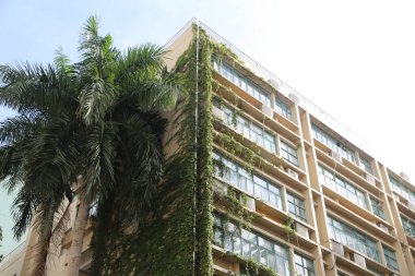 Phuket, Tayland 'da yüksek binalar duvarlarında yeşillikler ve her pencereden büyüyen bitkiler; çevre dostu mimari; doğal güneş ışığı