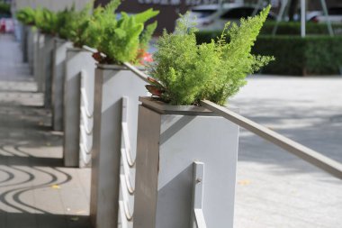 Bir sıra paslanmaz çelik ekiciler, yeşil bitkilerle, sokak kenarındaki korkulukların yanına yerleştirilmiş, şehir tarzı, parlak güneş ışığı ve temiz bir arka plan ile