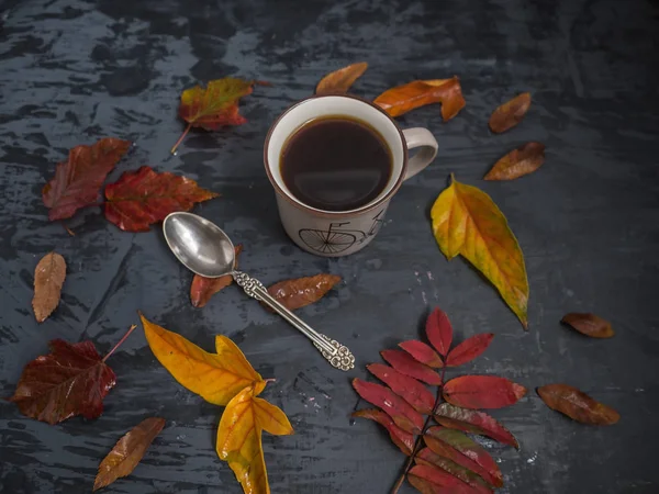 Una Taza Una Cucharadita Rodeada Hojas Otoño Colores Sobre Fondo — Foto de Stock