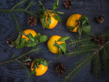 koyu arka plan, çam dalları yaprağı ile taze mandalina meyve