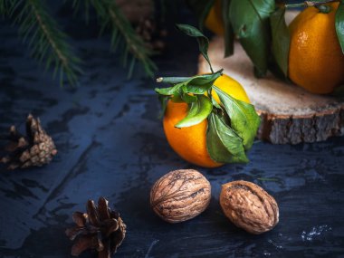 Yakın çekim bir mandalina ağacı üzerinde kesme yakın çekim, çam dalları gördüm. Yakın çekim. Çam kozalakları ve ceviz.