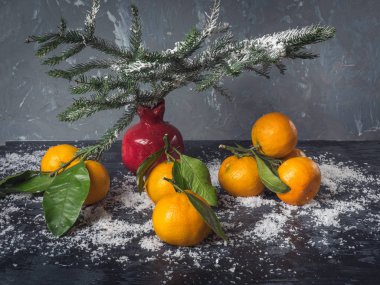 Mandalina broşürler kar ile siyah bir arka plan ile. Kırmızı dekoratif vazo nar çam dalları ile için. Noel kartı.