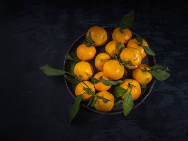 Koyu arka plan, çam dalları yaprağı ile mandalina meyve