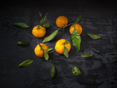 Koyu arka plan, çam dalları yaprağı ile mandalina meyve