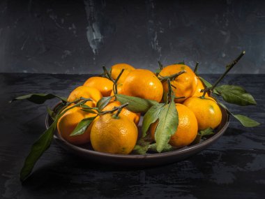 Koyu arka plan, çam dalları yaprağı ile mandalina meyve