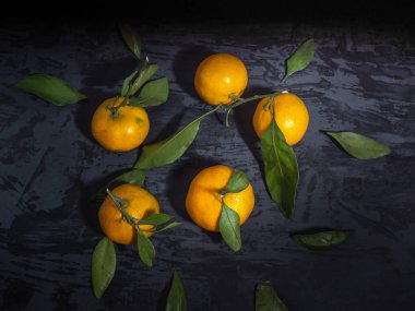 Koyu arka plan, çam dalları yaprağı ile mandalina meyve