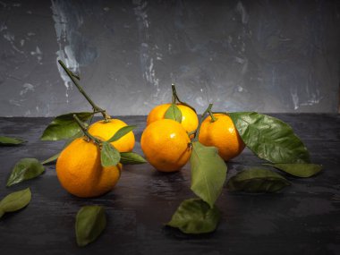 Koyu arka plan, çam dalları yaprağı ile mandalina meyve