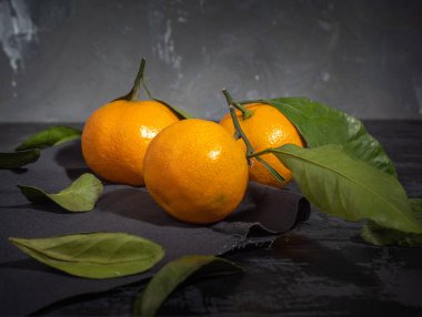 Koyu arka plan, çam dalları yaprağı ile mandalina meyve