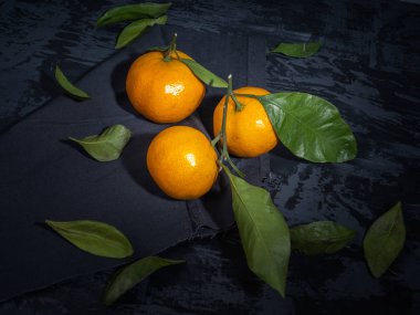 Koyu arka plan, çam dalları yaprağı ile mandalina meyve