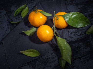 Koyu arka plan, çam dalları yaprağı ile mandalina meyve