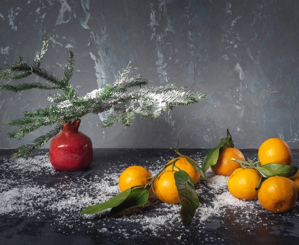 Mandalina broşürler kar ile siyah bir arka plan ile. Kırmızı dekoratif vazo nar çam dalları ile için. Noel kartı. İyi yeni yıl ruhu.