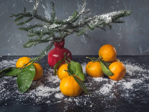 Mandalina broşürler kar ile siyah bir arka plan ile. Kırmızı dekoratif vazo nar çam dalları ile için. Noel kartı.