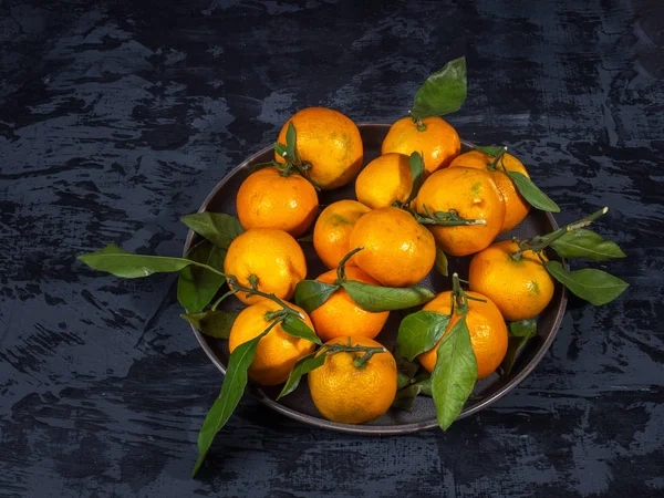 Koyu arka plan, çam dalları yaprağı ile mandalina meyve