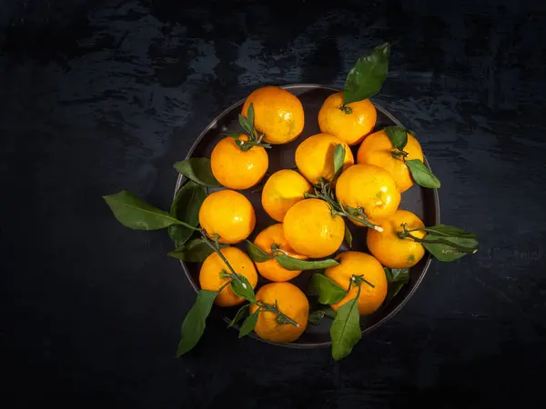 Koyu arka plan, çam dalları yaprağı ile mandalina meyve