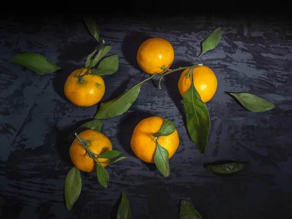 Koyu arka plan, çam dalları yaprağı ile mandalina meyve