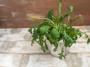 Demet taze yeşil roka hafif bir arka plan üzerinde Kapat