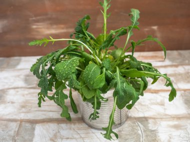 Demet taze yeşil roka hafif bir arka plan üzerinde Kapat