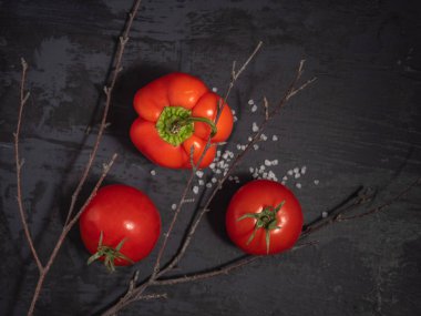 İki kırmızı domates ve biber, tuz yakın, bir ağaç, siyah arka plan, üstten görünüm yakın çekim kuru bir dal bir saçılma