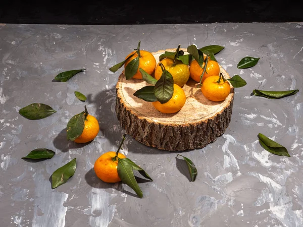 tangerines with leaves on a wooden disk, gray background, top view