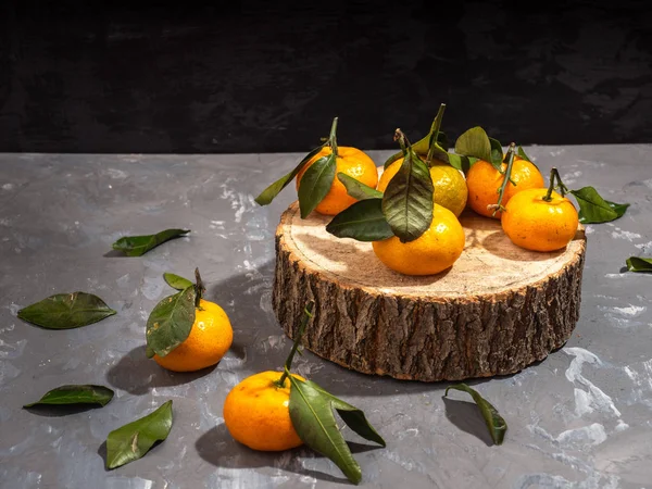 tangerines with leaves on a wooden disk, gray background, close-up