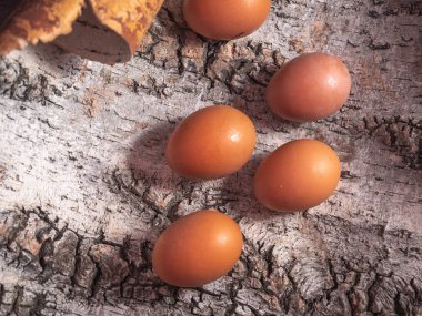 Taze tavuk yumurta kabuğu üzerinde barkfresh tavuk yumurta yalan yalan. Kahverengi yumurta beş parçası. Yakın çekim.