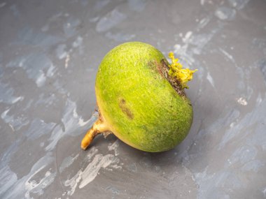 bir taze yeşil turp beton taklit ile gri lekeli arka plana karşı çapraz yatıyor