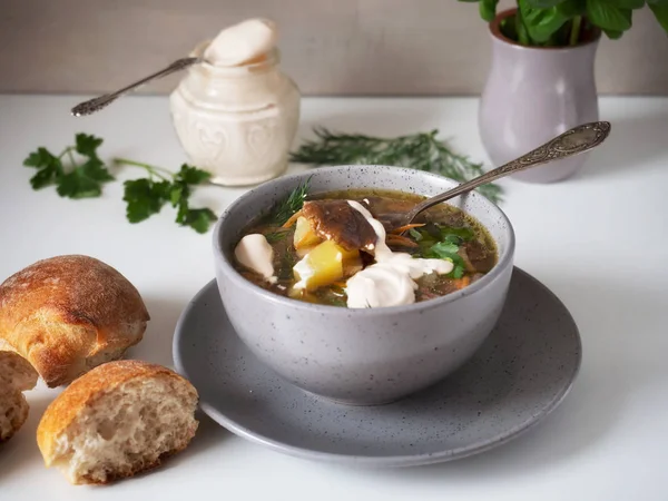 Горячий грибной суп со сметаной в глубокой серой тарелке на белом фоне — стоковое фото