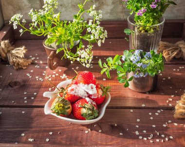 Dekoratif tabakta taze çilek, çilek serpme için pudra şekeri ile bir tabak. Kompozisyon turkuaz ahşap tepsi üzerinde duruyor.