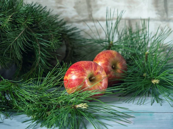 Turkuaz ahşap arka planda, çam dalları arasında büyük kırmızı elmalar olan kış kartı, yakın mesafeden çekilmiş. — Stok fotoğraf