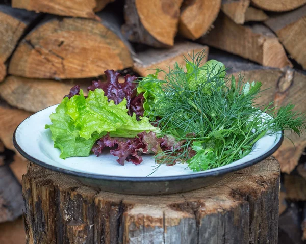 Fresh lettuce leaves, close up.Fresh lettuce leaves, close up.Fresh lettuce leaves on an enamel plate on a stump against the background of harvested painted wood