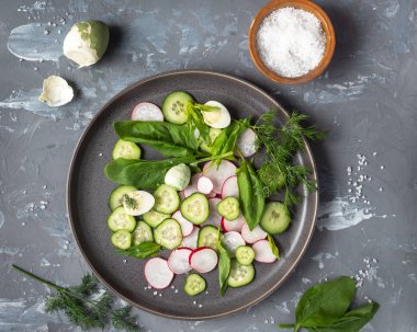 Hafif sebze iştah açıcı salatalık, turp ve ıspanak yuvarlak plaka, yumurta ve tuz sığ tuz gri bir arka planda, üst görünüm