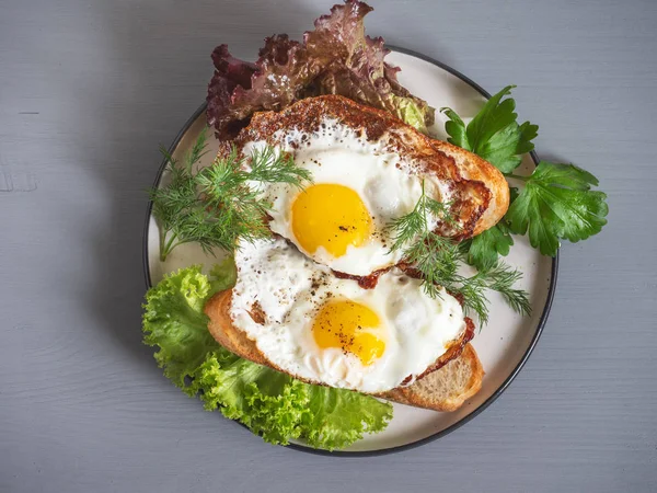 Bir tabakta Kahvaltı için çırpılmış yumurta ve taze salata yaprakları ile Kızarmış ekmek sandviç, üst görünümü