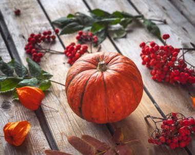 Balkabağı ve bitkisel hayatta sonbahar