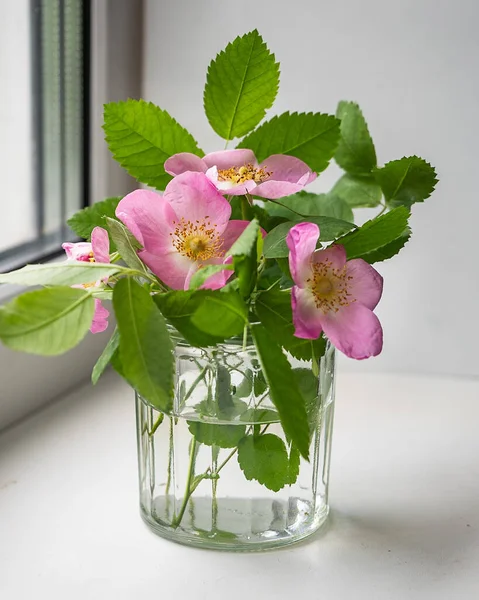 Ein Glas Mit Rosa Hagebuttenblüten Steht Auf Einem Fenstersims Nahaufnahme — Stockfoto