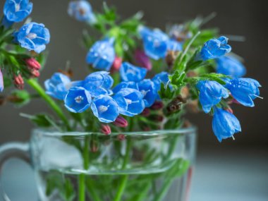 Cam bir fincanda bir buket unutkanlık, ahşap bir kırsal masada yakın plan.