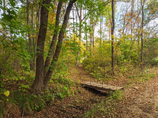 Waldlandschaft Herbstwald Bunten Blättern Kleine Brücke Über Die Rinne Sonniger — Stockfoto