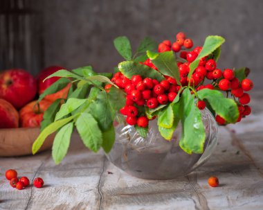 Yuvarlak cam bir vazoda kırmızı Rowan ve kırsal bir masa üzerinde elmalı kalın bir tabak.