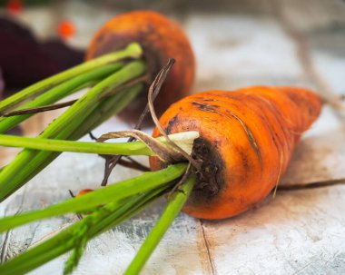 Kırsal kesimde tepesi olan büyük havuçlar.
