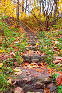 Sonbaharda Kolomenskoye Park Açık taş merdivenler, Moskova, alt görünümü