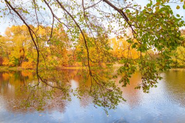 Büyük Ostafievsky göleti Moskova yakınlarındaki Ostafievo malikanesinde, sonbaharda Rusya 'da. Renkli manzara