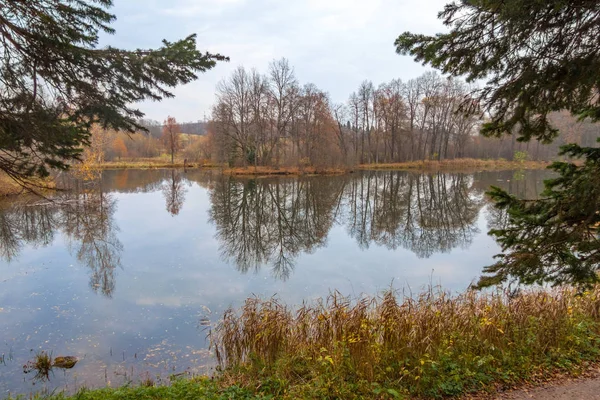 Barsky Lagoa Perto Serednikovo Solar Nos Subúrbios Moscou Triste Paisagem — Fotografia de Stock